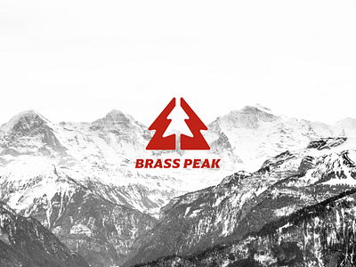 Brass Peak b brass brasspeak dailylogo dailylogochallenge design graphic design ice icon logo logodlc logomark mountain peak pine pinetree ski skimountain tree
