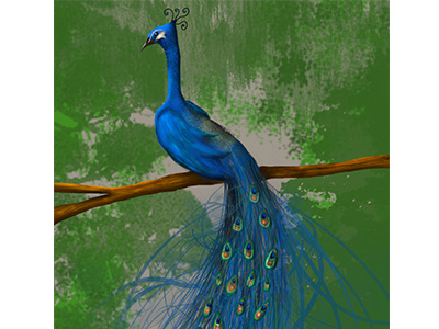 Peacock digital painting adobe bird blue digital painting fantasy green painting peacock photoshop