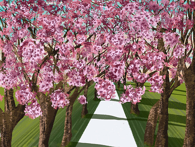 Cherry blossom - Hanami beauty cherryblossom flowers hanami nature spring trees