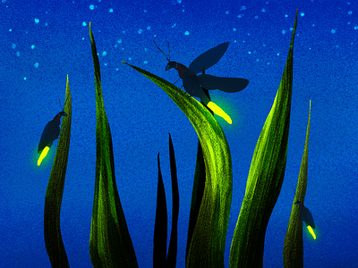 Summer Night adobe photoshop firefly illustration night summer summer night summer vibes