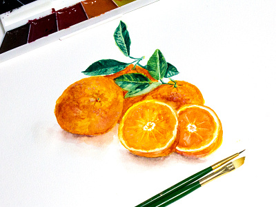 Oranges illustration watercolors