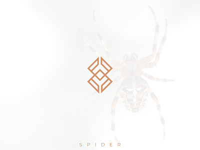 spider mark branding design graphic design illustration logodesign modern logo presentation spider spider mark spiderman typography vector