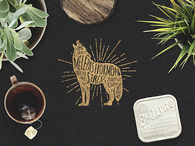 MONSTRES! Animal Typography Series