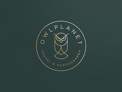 Owl planet abstract animal branding clever elegant flat gradient icon identity line logo mark minimal owl stroke