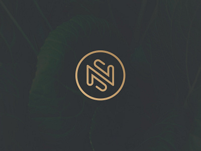 NS monogram branding identity letter line logo luxury minimal monogram stroke type typography