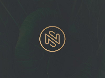 NS monogram by Ahmed creatives on Dribbble