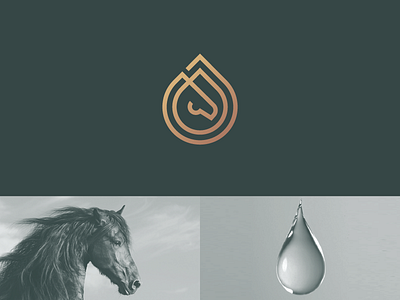 Horse + Water drop animal clever drop geometry gradient horse line stroke water