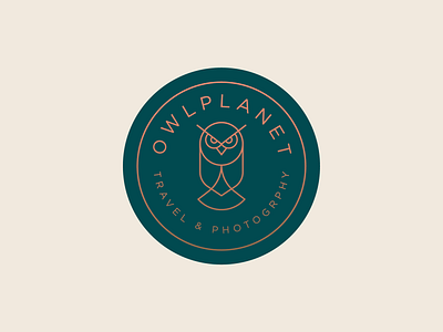 Owl planet animal bird branding elegant emblem geometry logo luxury owl wild