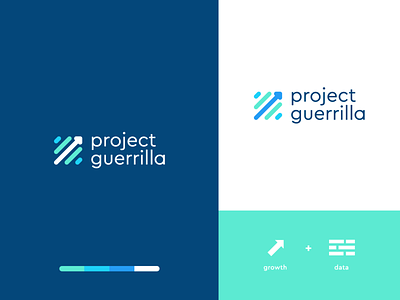 Project guerrilla
