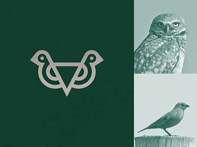 owl + bird abstract bird branding clever eye flat icon line logo luxury mark minimal owl stroke wild