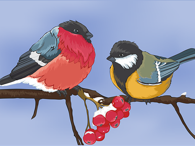 Birds bird illustration birds vector