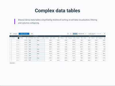 Packet Analyzer - Table animation app appdesign applicationdesign datamonitoring datavisualization dataviz softwaredesign ux webapp