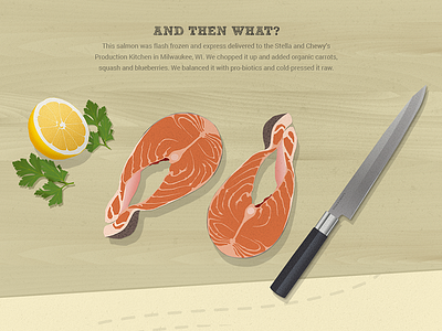 Cut Salmon Illustration