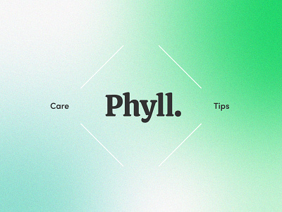 Phyll brandidentity branding brandstory brightbranding colourinspo logo logodesigner logoinspo plantlogo visualidentity