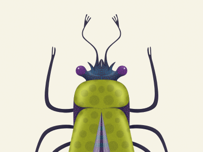 beetle