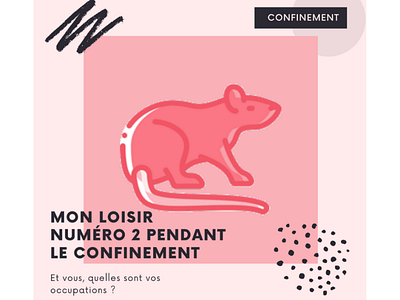 Mon occupation numéro 2 durant le confinement, et vous ^^