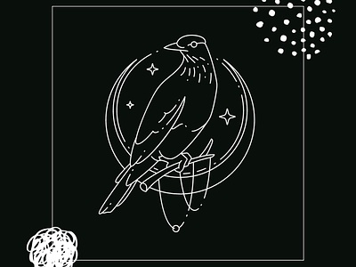 Raven animals design graphic design illustration ilustratoradobe vector