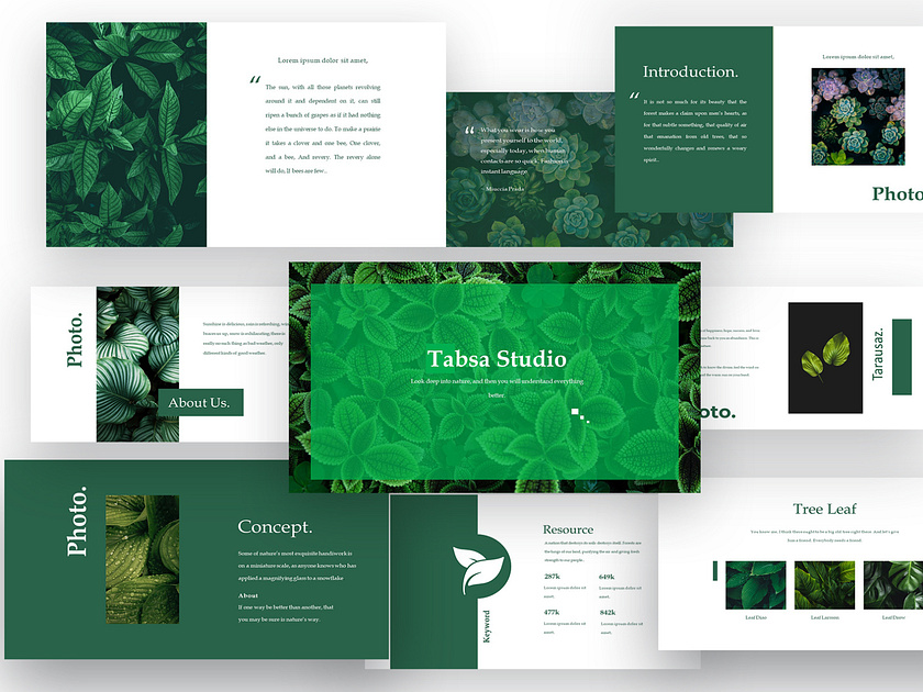 Nature Presentation designs, themes, templates and downloadable graphic ...