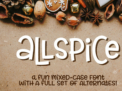 Allspice: a fun mixed-case font!