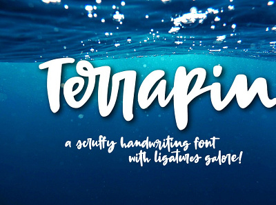 Terrapin: a scrappy handwriting font