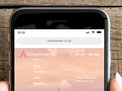 Tokyo Tower Website Concept (Detail)
