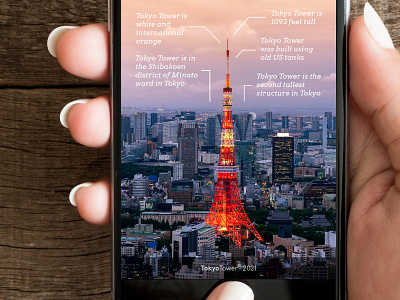 Tokyo Tower Website Concept (Detail)