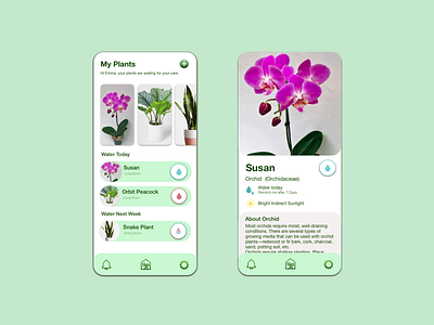 Plant Watering App design minimal mobile plant sketch ui uidesign ux watering