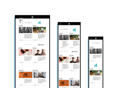 Responsive design for The shops branding flexible layouts responsive responsive web design webdesign
