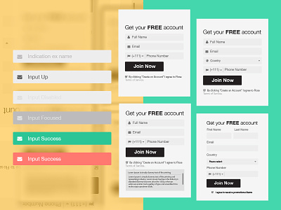 Sign up test disappears field form high fidelity labels new user signup wireframe