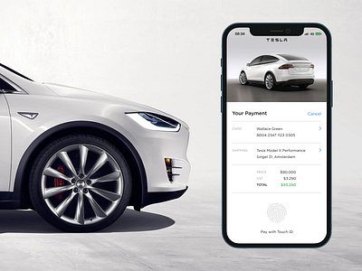 Tesla Credit Card Checkout