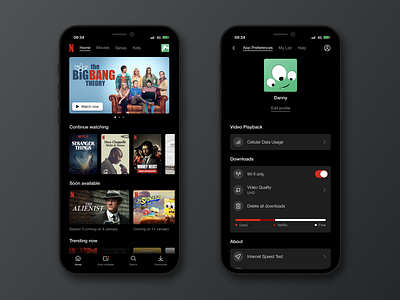 Netflix App