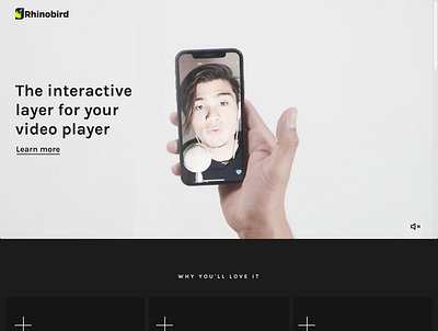 Rhinobird site ui ux web