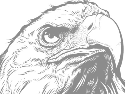 Eagle WIP apparel drawing eagle illustration
