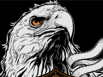 Eagled apparel drawing eagle illustration