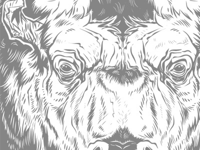 Buff WIP apparel buffalo drawing illustration vector