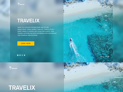 Travel Website home page