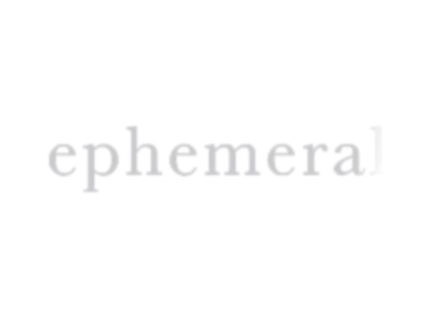 Wordmark a Day #4 ephemeral logotype type typography wordmark
