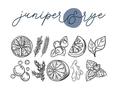 Juniper & Rye - Logo & Illustrations branding illustration illustrations logo logo design logos packaging packaging design typography