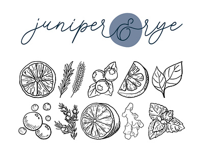 Juniper & Rye - Logo & Illustrations