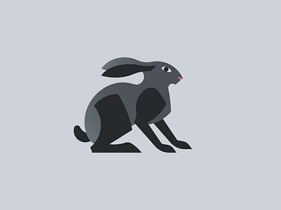 Rabbit illustration