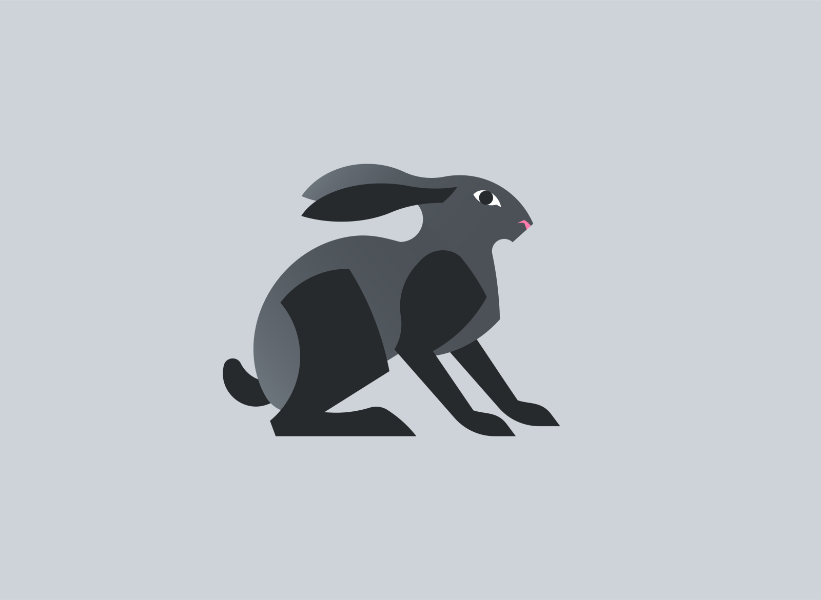 Rabbit illustration by Mohi Hassan on Dribbble