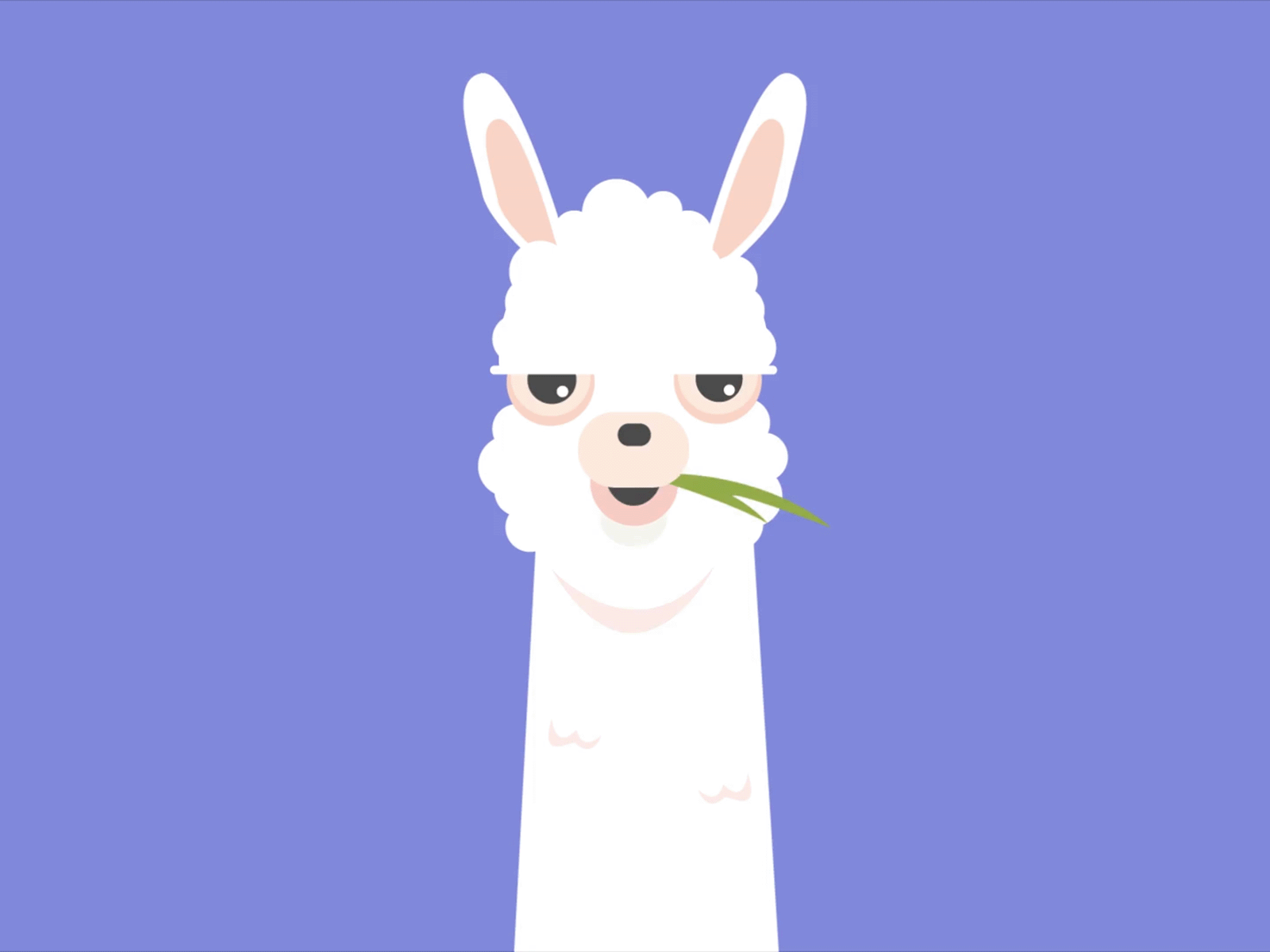 Llama Drama animation