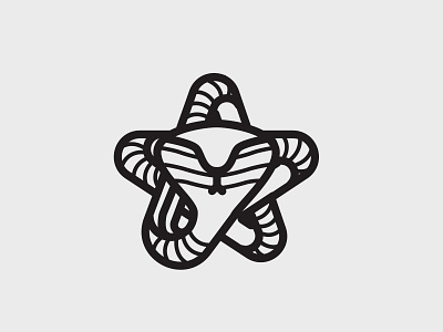 GNK logo exploration. branding cobra design flat illustration logo morocco snake star vector zebra