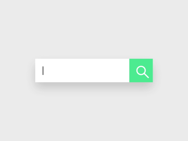 Search input animation
