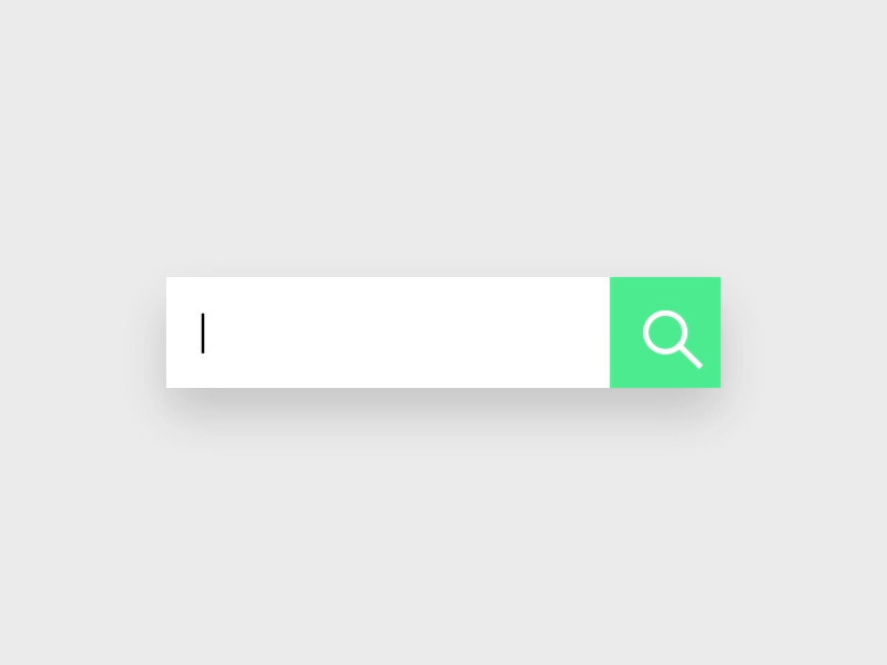 Search input animation animation input search