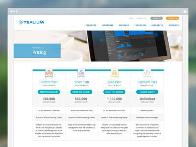 Tealium Pricing Page digital marketing plan pricing tag management technology website