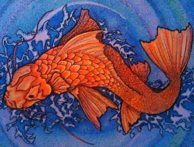 koi fish