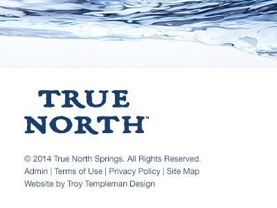 True North Springs Website Footer design development footer logo website