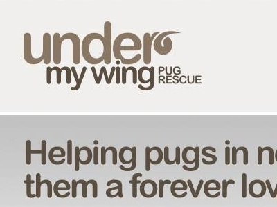 Under My Wing Pug Rescue Website Header banner design development header logo website