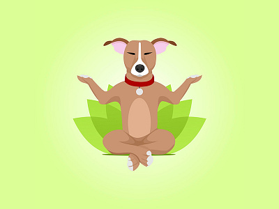 Yoga Dog